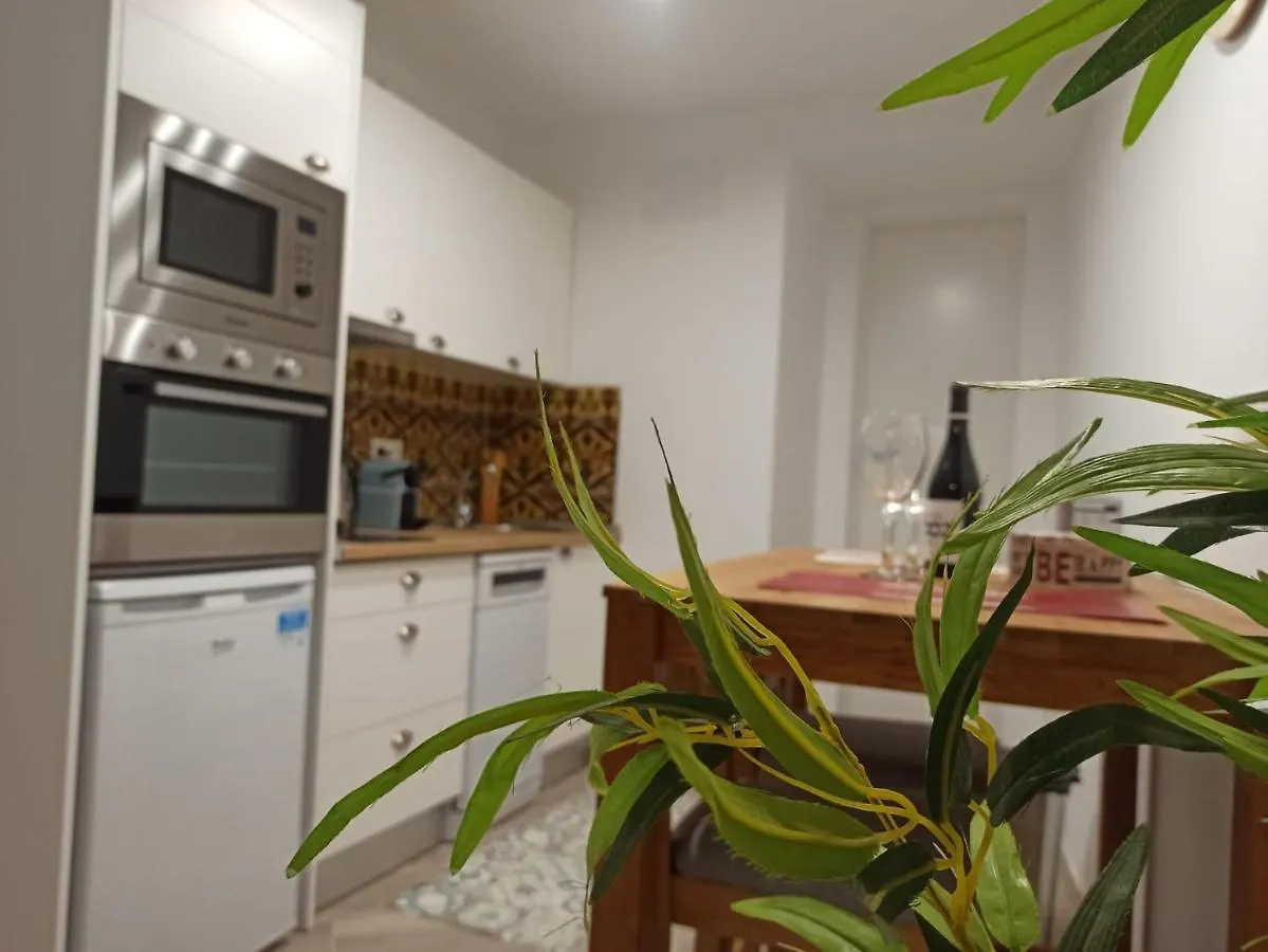 Malasana 51, New Art Apartment, Breakfast Included, Historic Center, Quite Neighborhood, Ml Malaga Apartment